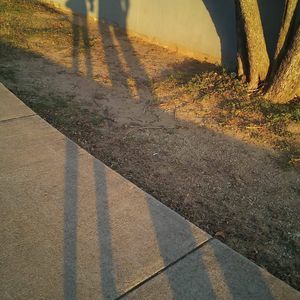 Meet your Posher, Flor